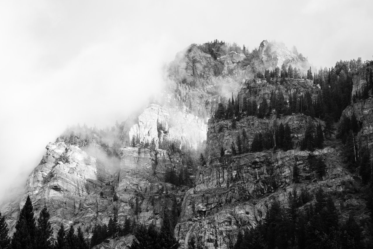 The rugged cliff face of Death Canyon, with evergreen trees clinging to rocky ledges, partially obscured by drifting fog against an overcast sky.