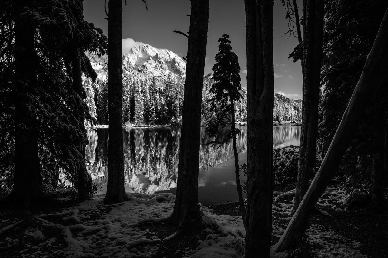 Mount Moran, seen through trees on the shore of String Lake.