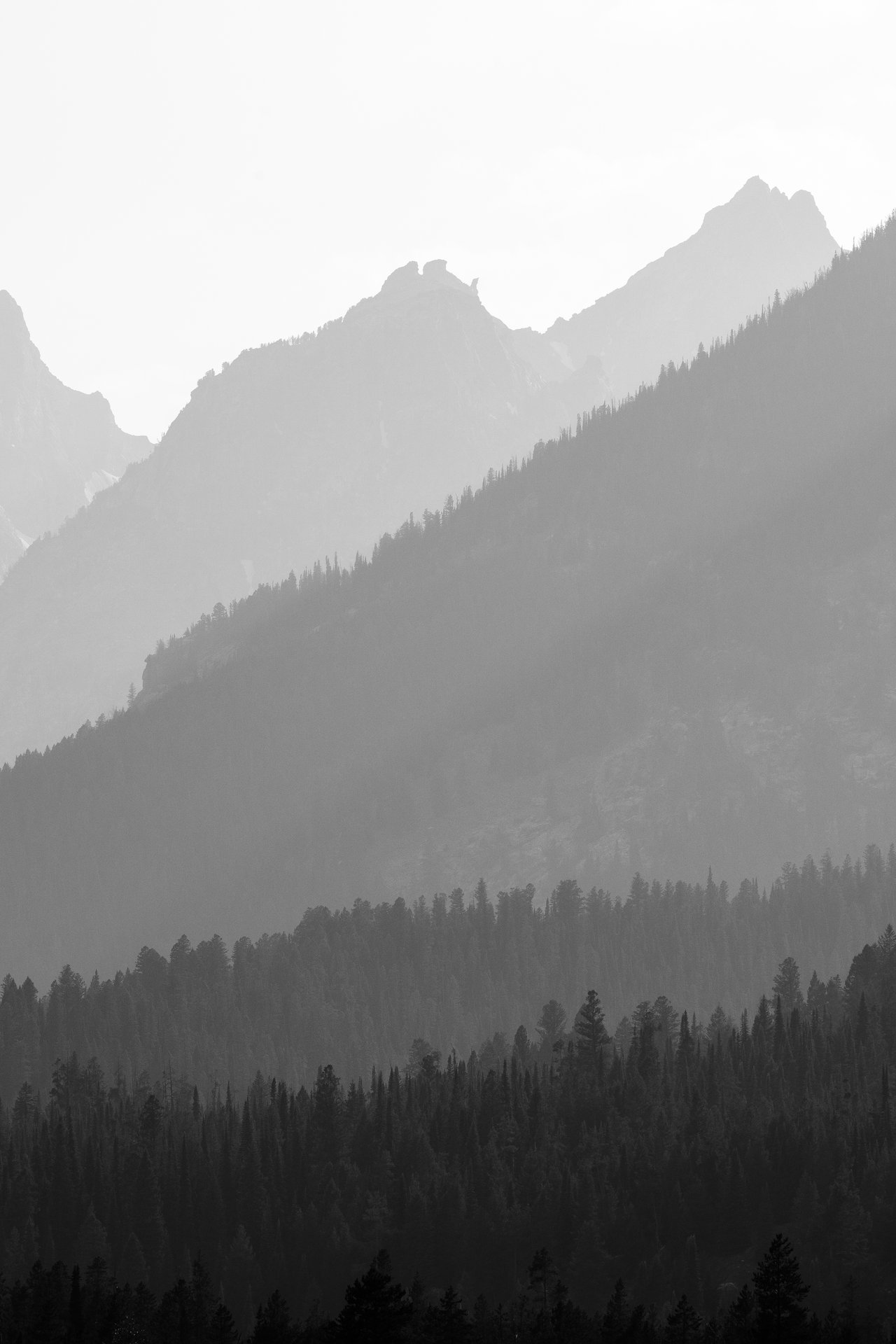 The Tetons, and pine forest at the foot of the mountains, seen through layers of wildfire smoke.