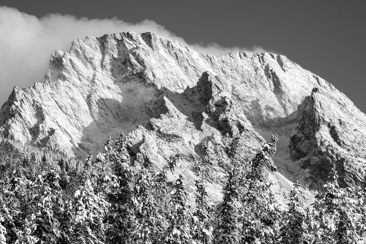 Detail of the snow-covered summit of Mount Moran. In the foreground, a line of trees covered in snow.