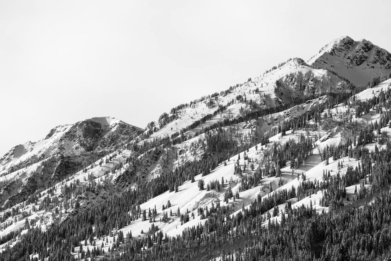 A snow-covered mountain range with trees scattered across the slopes. The terrain shows ski lines between the trees.
