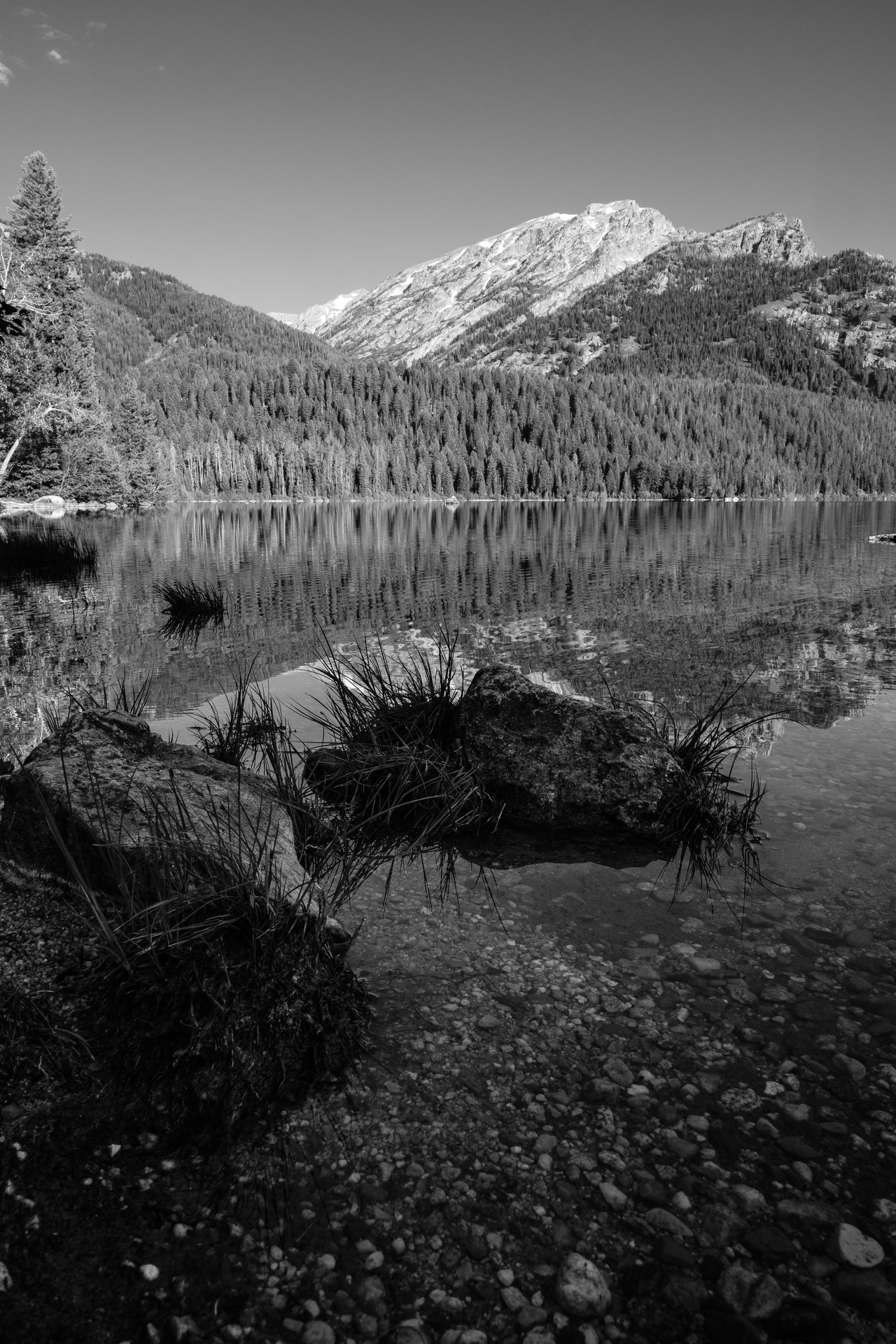 The shore of Phelps Lake in Grand Teton National Park. In the foreground, grass and rocks in the water.