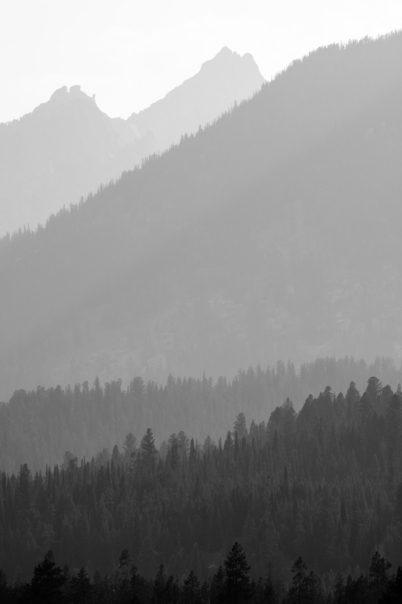The Tetons, and pine forest at the foot of the mountains, seen through layers of wildfire smoke.
