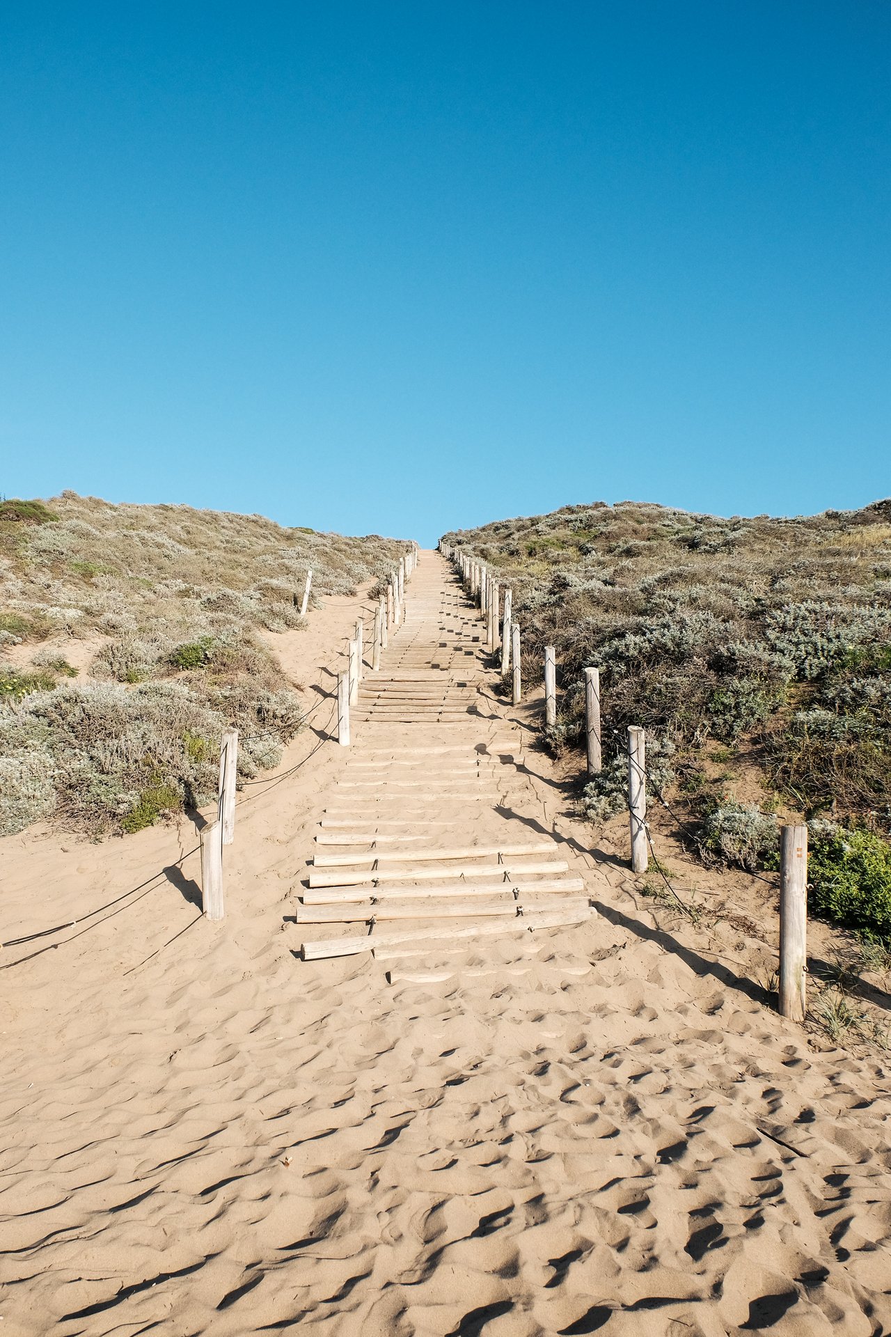 The Sand Ladder of Baker Beach, a sandy, steep uphill path with wooden logs as steps and posts on either side ascending a dune covered with low vegetation.